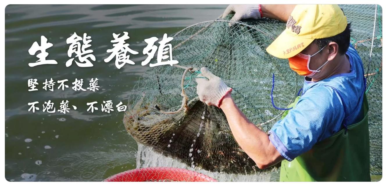 精準管理的科學化養殖 蛤蜊達人們運用科學的方法，將實踐與數據相結合，確保每一批蛤蜊的健康成長，並保持潔淨，讓消費者能夠放心享用。
