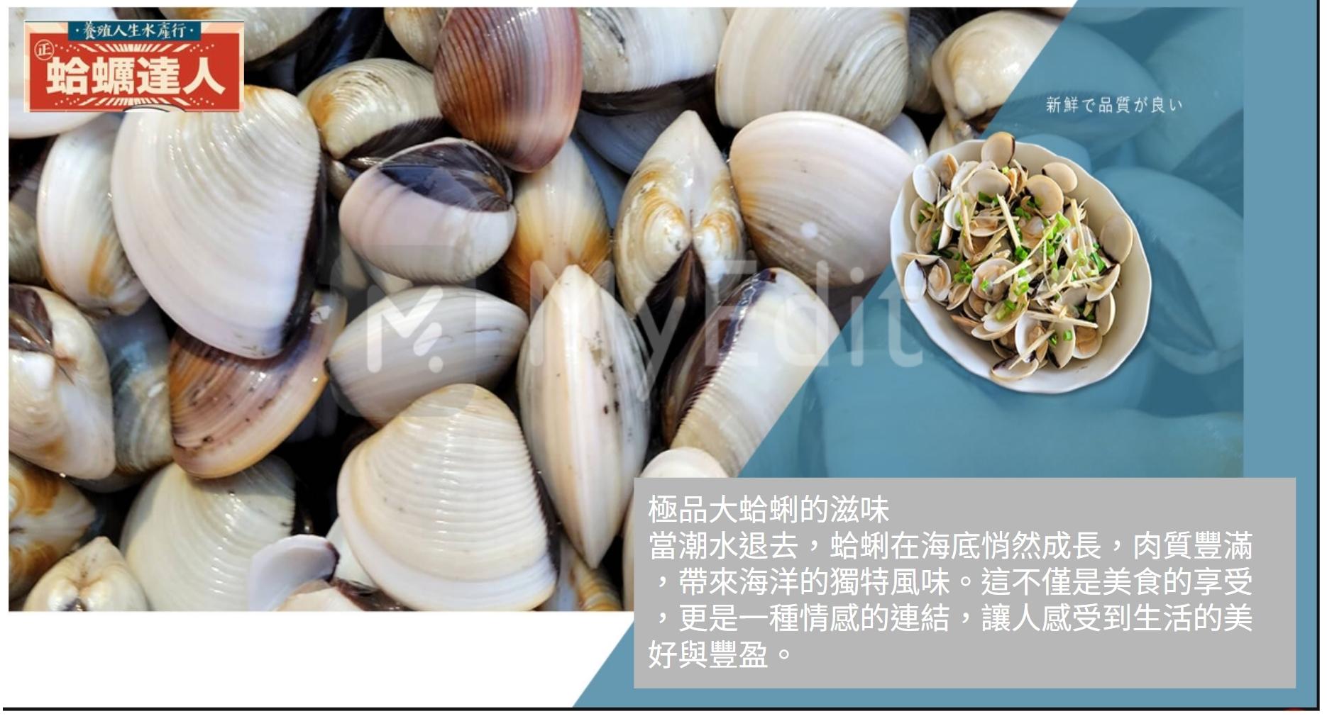 極品大蛤蜊的滋味 當潮水退去，蛤蜊在海底悄然成長，肉質豐滿，帶來海洋的獨特風味。這不僅是美食的享受，更是一種情感的連結，讓人感受到生活的美好與豐盈。