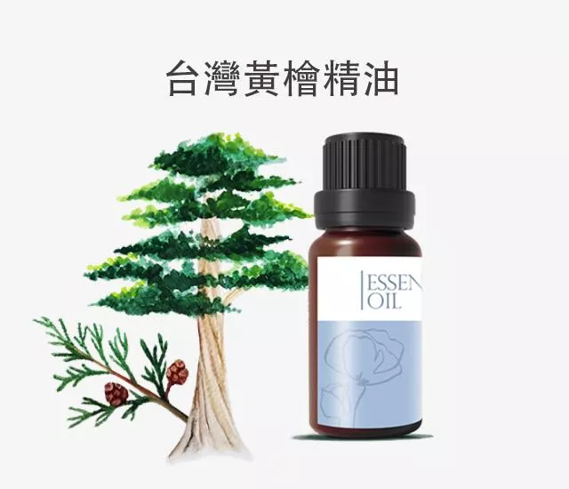 台灣黃檜木精油(低溫)