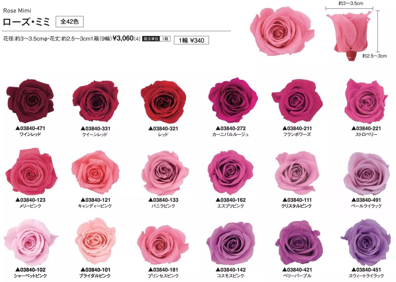 Rose Mini 1盒 8入 Plus In Flower