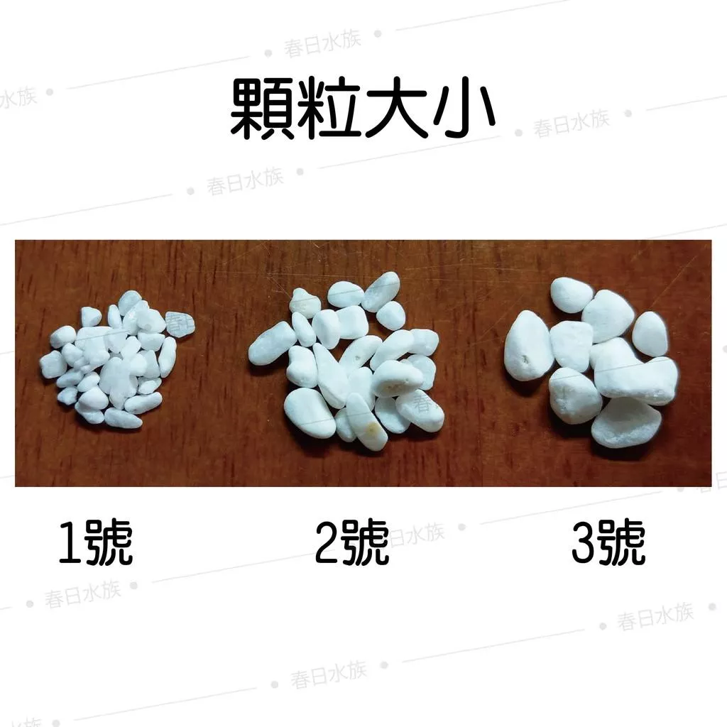 特白石1 5公斤1號 2號 3號白砂白色底砂白底砂1 5kg 底沙 春日水族商城