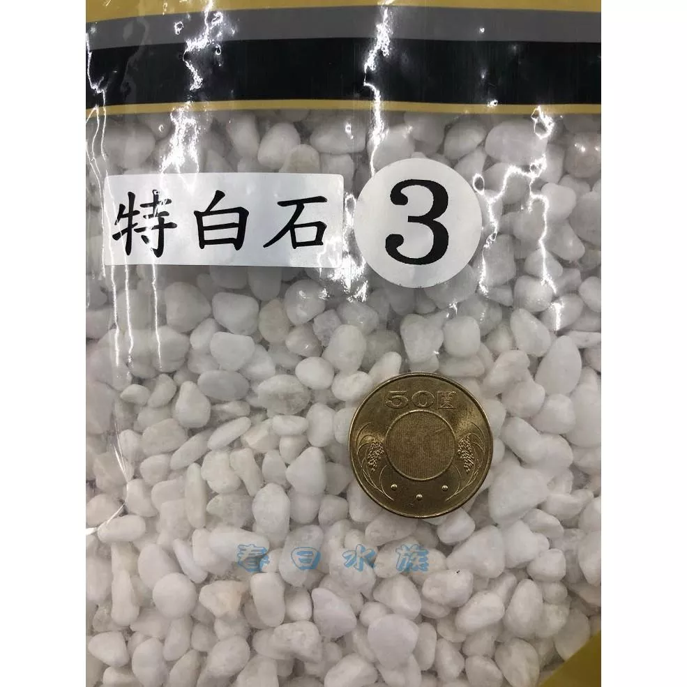 特白石1 5公斤1號 2號 3號白砂白色底砂白底砂1 5kg 底沙 春日水族商城