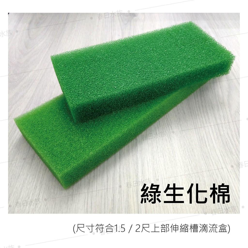 綠生化棉 (尺寸符合1.5／2尺上部伸縮槽滴流盒)方形生化棉 培菌 過濾 便當盒 上部過濾