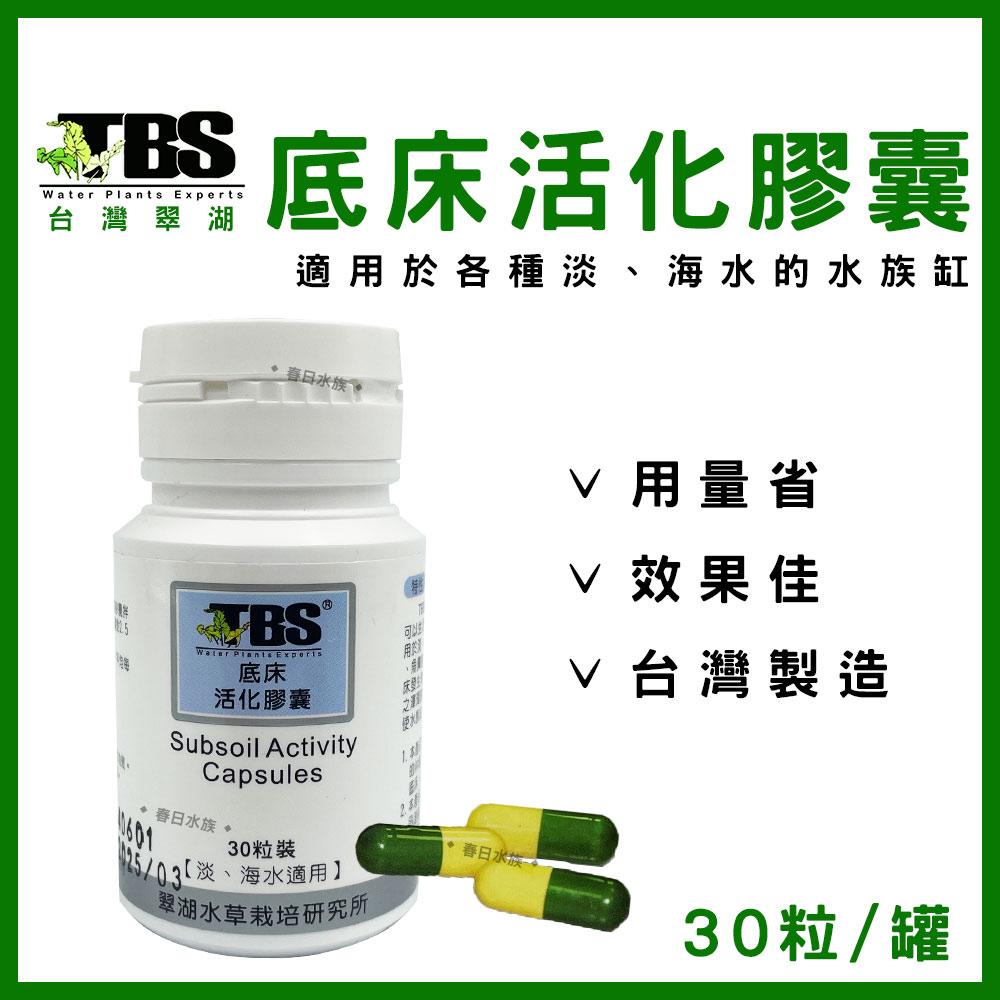 臺灣翠湖tbs 底床活化菌膠囊 30粒入 底床活化菌液肥基肥黑土水草肥料水草硝化菌 春日水族商城