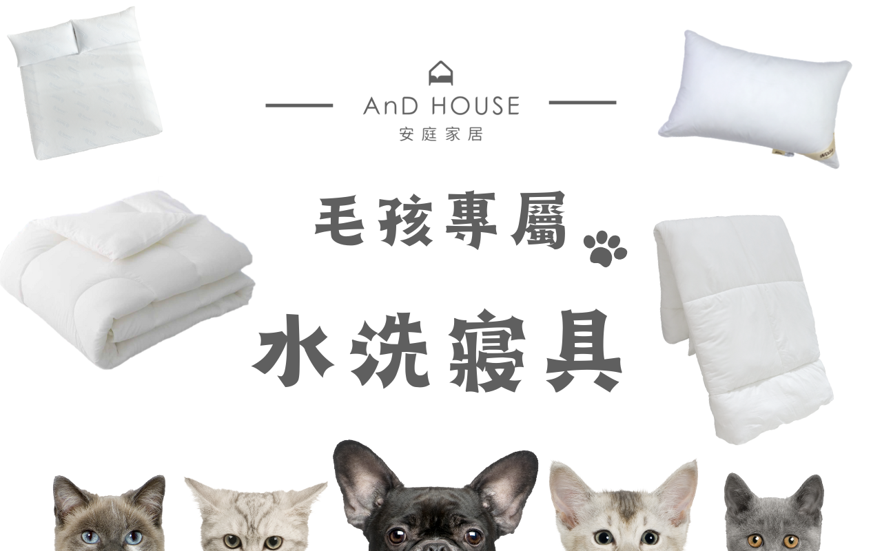 ✎𝘼𝙣𝘿 𝘿𝙚𝙨𝙞𝙜𝙣✃ 毛孩專屬水洗寢具 │寢具推薦│