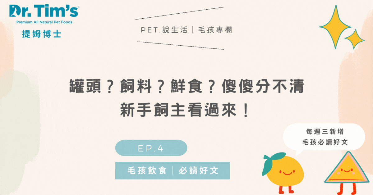 飼料？罐頭？鮮食？傻傻分不清楚，新手飼主看過來！｜毛孩飲食