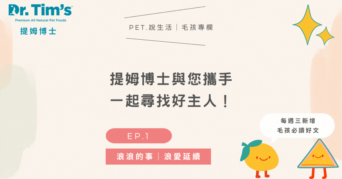 一起尋找好主人🙌｜浪浪的事