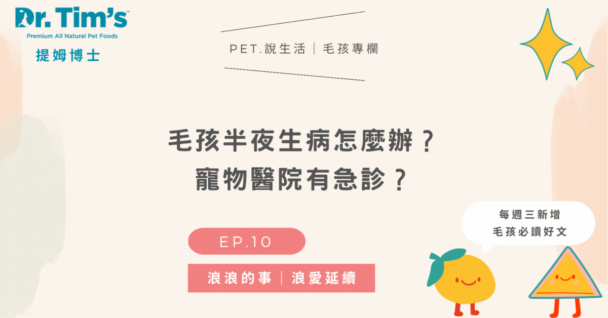 毛孩半夜生病怎麼辦？寵物醫院有急診？｜浪浪的事