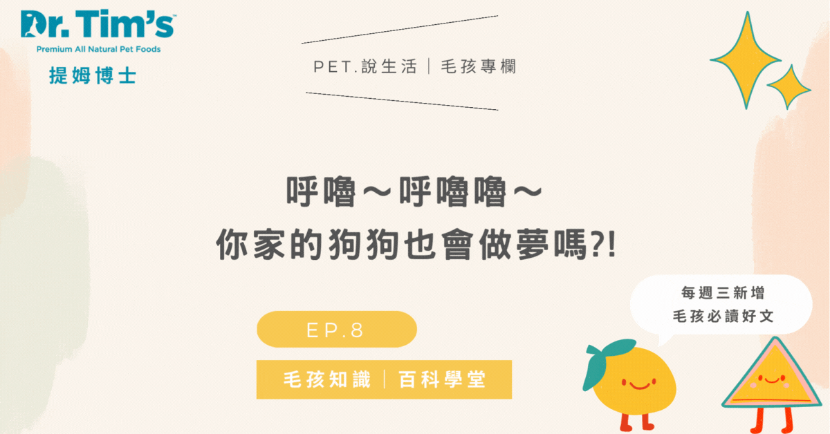 呼嚕～呼嚕嚕～你家的狗狗也會做夢嗎?!💭｜毛孩知識