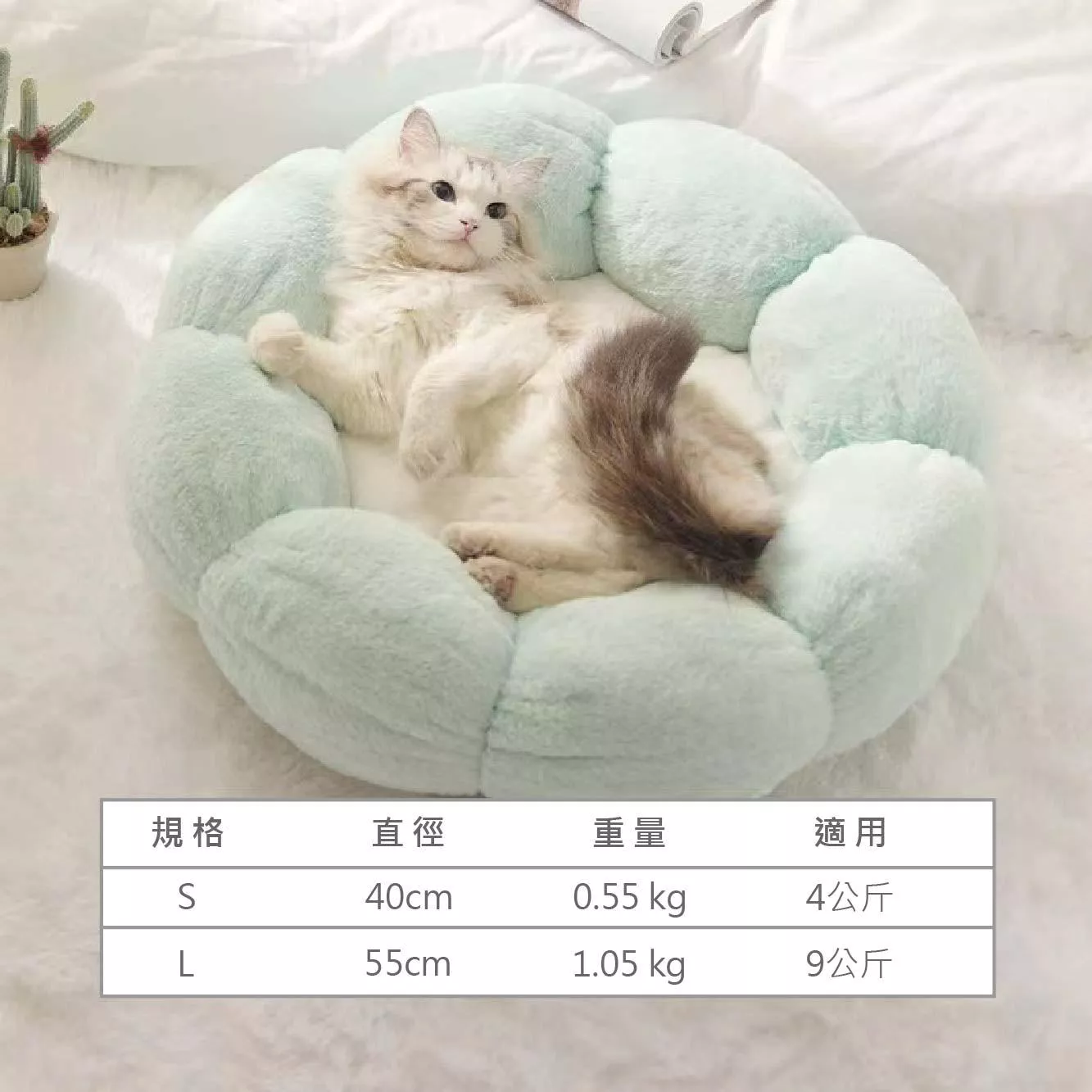 Lazy Cat 嚴選｜春日花朵窩
